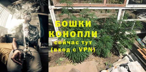 mdpv Горно-Алтайск