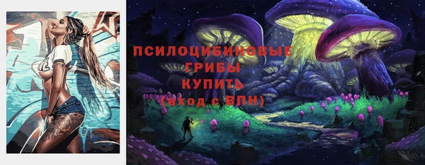 mdpv Горно-Алтайск