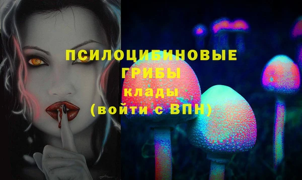 mdpv Горно-Алтайск