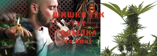 mdpv Горно-Алтайск